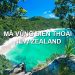 Mã vùng New Zealand