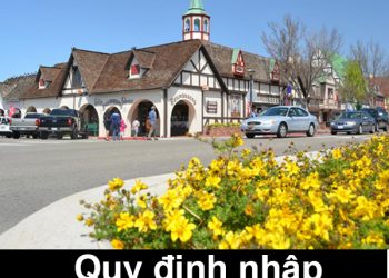 Quy Định Nhập Cảnh Mỹ – Thủ Tục, Mẫu Tờ Khai Nhập Cảnh