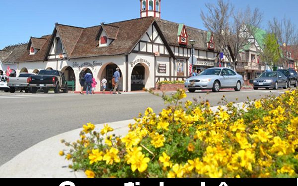 Quy Định Nhập Cảnh Mỹ – Thủ Tục, Mẫu Tờ Khai Nhập Cảnh