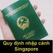 Quy Định Nhập Cảnh Singapore – Thủ Tục, Tờ Khai Nhập Cảnh Singapore