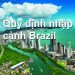 Quy Định Nhập Cảnh Brazil – Thủ Tục, Mẫu Tờ Khai Nhập Cảnh