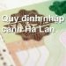 Quy Định Nhập Cảnh Hà Lan – Thủ Tục, Mẫu Tờ Khai Nhập Cảnh
