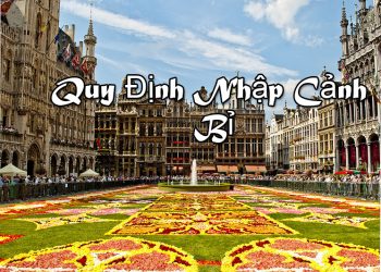 Quy Định Nhập Cảnh Bỉ – Thủ Tục Nhập Cảnh – Mẫu Tờ Khai Nhập Cảnh